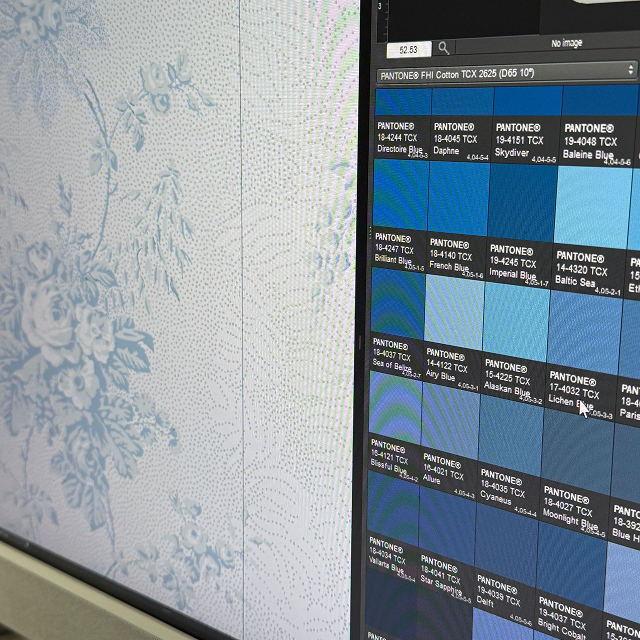 Digital print of textile on a computer screen.